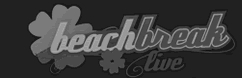 beach break festival logo